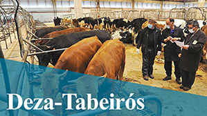 Titulares Deza-Tabeirós
